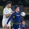 L'Arena - Verona-Pisa 0-0, le pagelle dei gialloblù