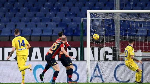 Tuttosport: Genoa-Verona, le pagelle dei gialloblù, il migliore è Baràk