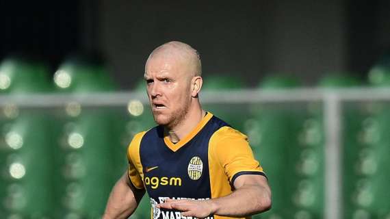 Virtus Verona: non decolla il rinnovo con l'ex gialloblù Hallfredsson