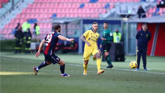 Hellas Verona-Bologna: le statistiche e i precedenti