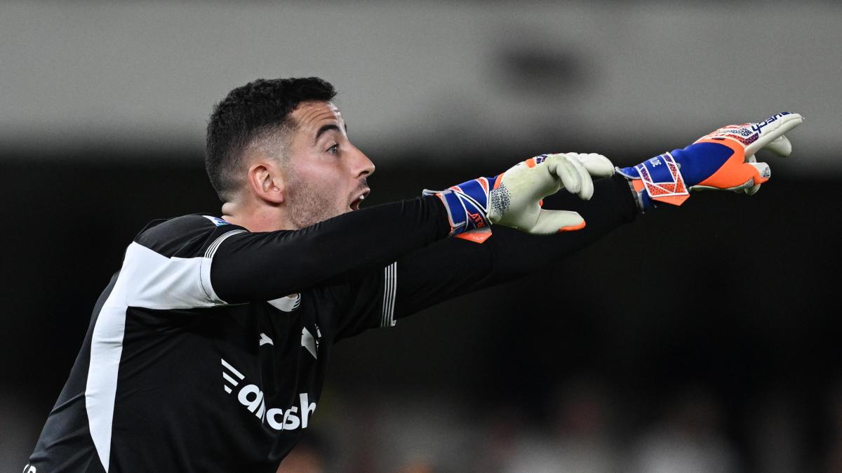 Lecce-Verona 0-0, le pagelle dei gialloblù: Montipò salva il pari, Giovane in ombra