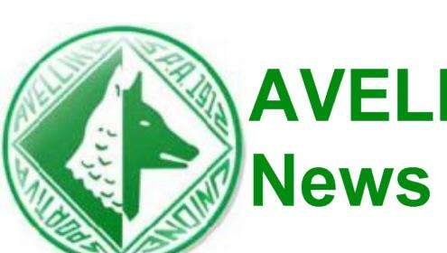 AVELLINO, potrebbe arrivare Vitiello