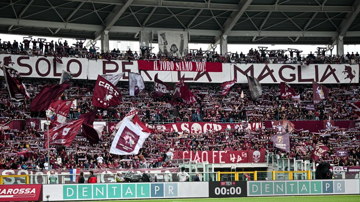 Hellas Verona-Torino: informazioni biglietti settore OSPITI