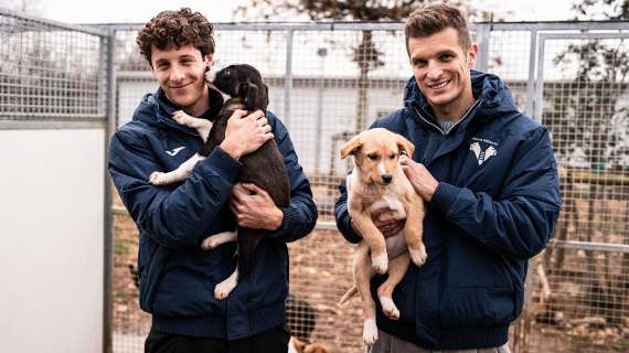 Hellas Verona: in campo al fianco di ENPA con sette cuccioli del Rifugio del Cane e del Gatto