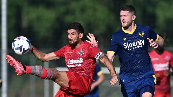 Verona - Cremonese: i precedenti