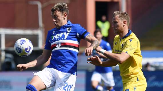 Verso Sampdoria-Verona: tabù Marassi da sfatare, Caprari alla caccia del gol dell'ex, out Kalinić