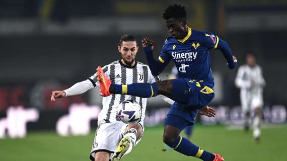Sampdoria-Verona: recuperano tre gialloblù