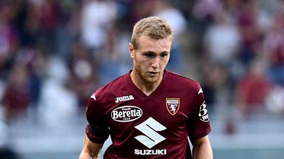 Torino - Verona 1-0 il tabellino dell'incontro