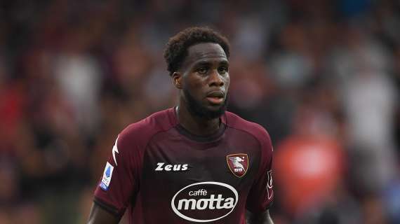 Salernitana-Verona 2-1: i gialloblù cadono nel recupero, Cioffi ora rischia grosso
