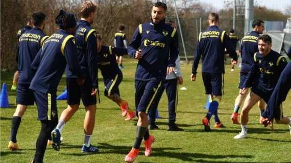 Hellas: gialloblù in campo da martedì per preparare la sfida con lo Spezia