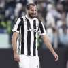 Immagine news 14