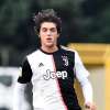 Immagine news 2