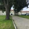 Immagine news 9