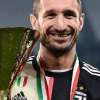 Immagine news 1