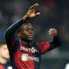 Immagine news 5