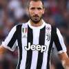 Immagine news 5