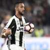 Immagine news 14