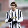 Immagine news 15