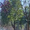 Immagine news Altre notizie n.1