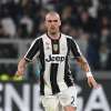 Immagine news 17