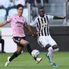 Immagine news 1