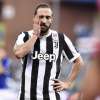 Immagine news 14