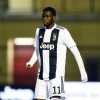 Ndoye al Napoli? Per sostituirlo il Bologna pensa anche all'ex (flop) Juve Mavididi, rinato in Francia
