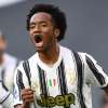 Immagine news 50