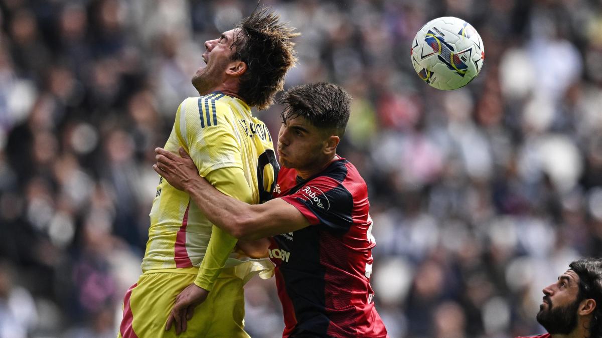 Immagine strip Primo piano n.1