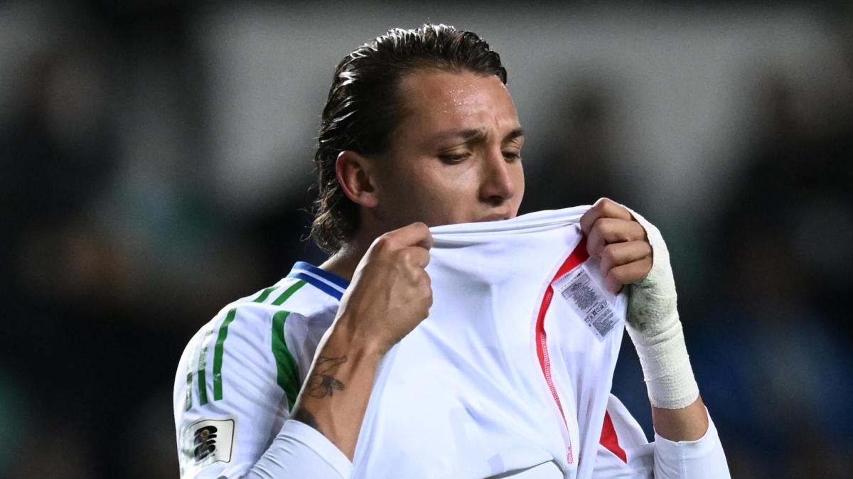 Cecchi: "Questa Nazionale dobbiamo prenderla per quello che è"