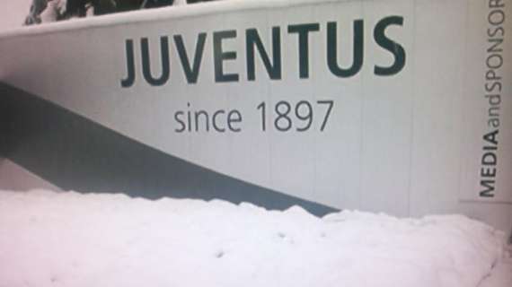 LIVE VINOVO - PRIMO ALLENAMENTO PER PADOIN. VUCINIC IN GRUPPO!