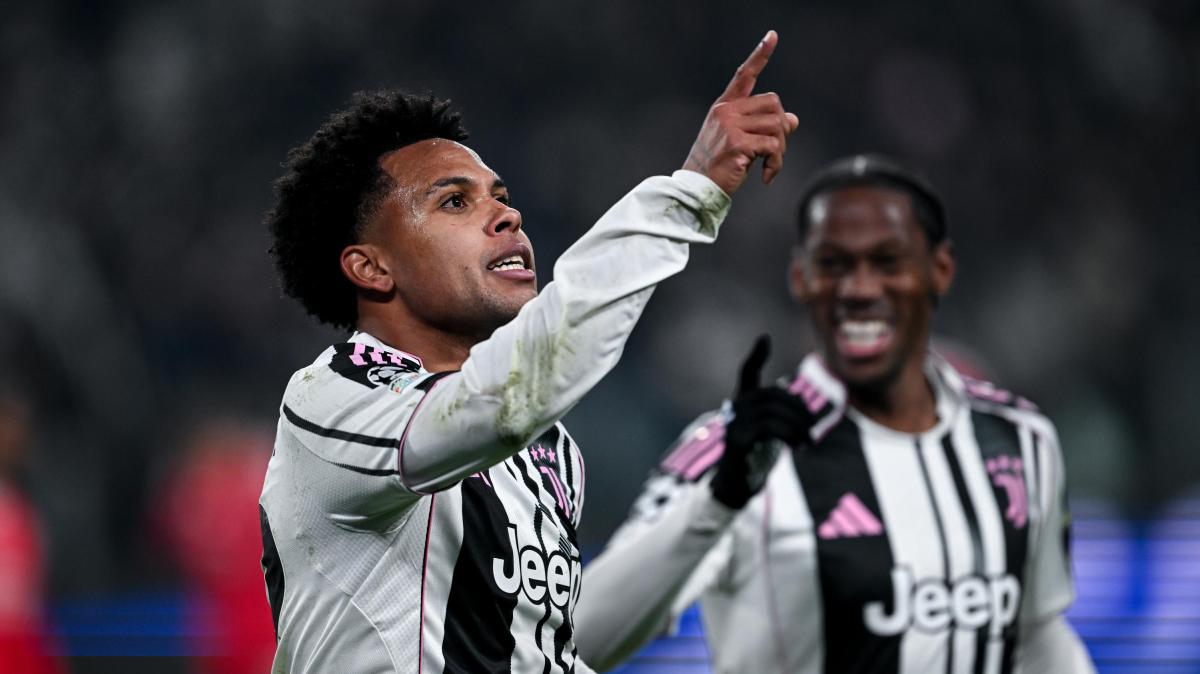 Immagine strip Primo piano n.1