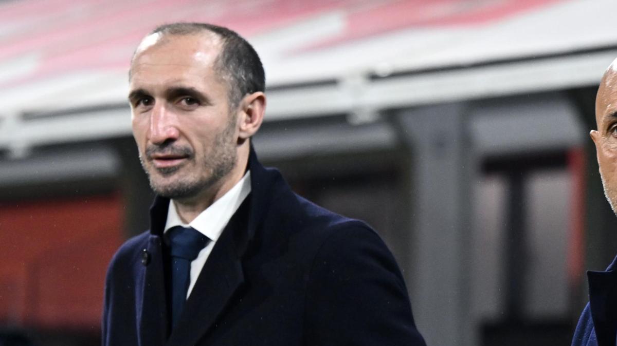 Aghemo: “Chiellini è un dirigente che guarda al futuro, ma ha la conoscenza perfetta di quello che è…”