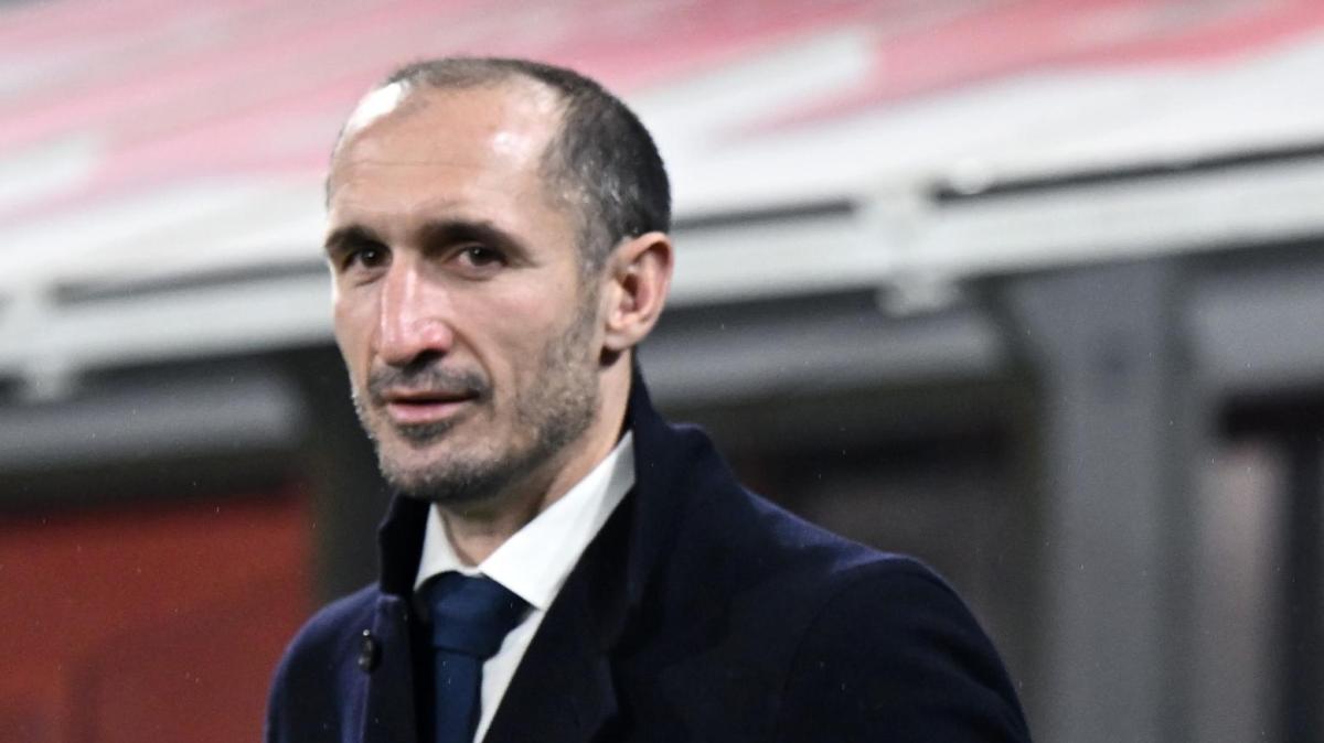 Chiellini a Prime Video: "Spalletti non parla? Giusto che venga la società. Provati e delusi, ma orgogliosi di quanto fatto. Non siamo fortunati con gli episodi, per fortuna non ero Kelly"