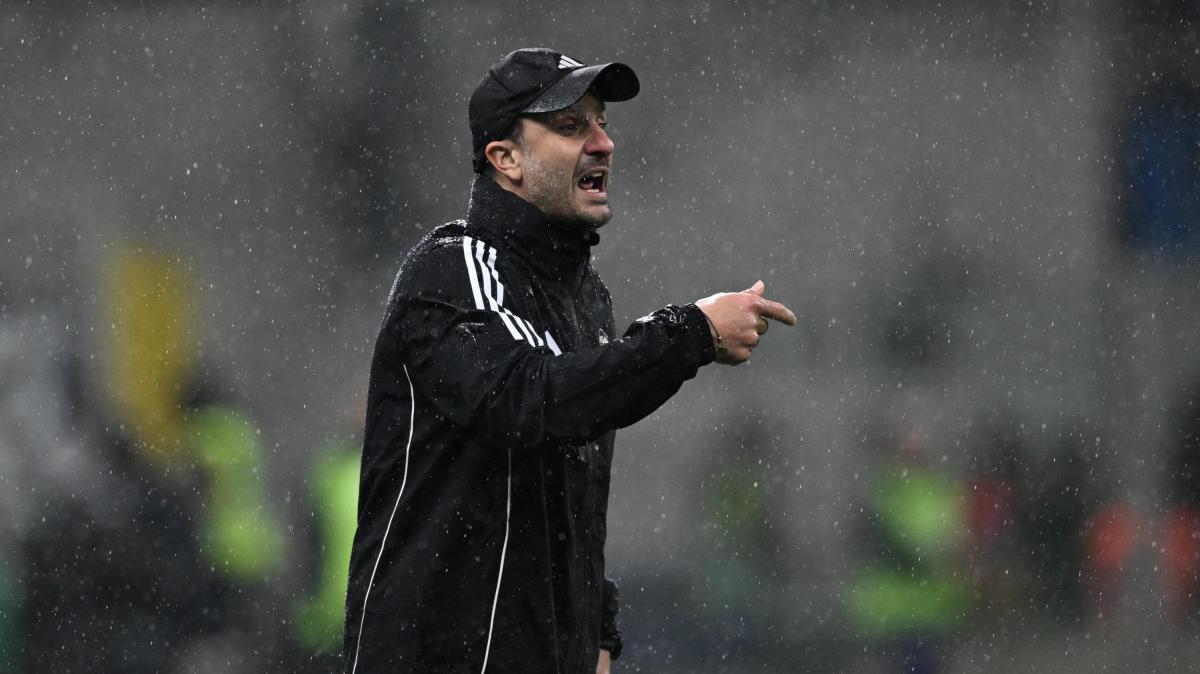 Qui Hellas - Si pensa alla prossima stagione in B: 2 allenatori in lista 
