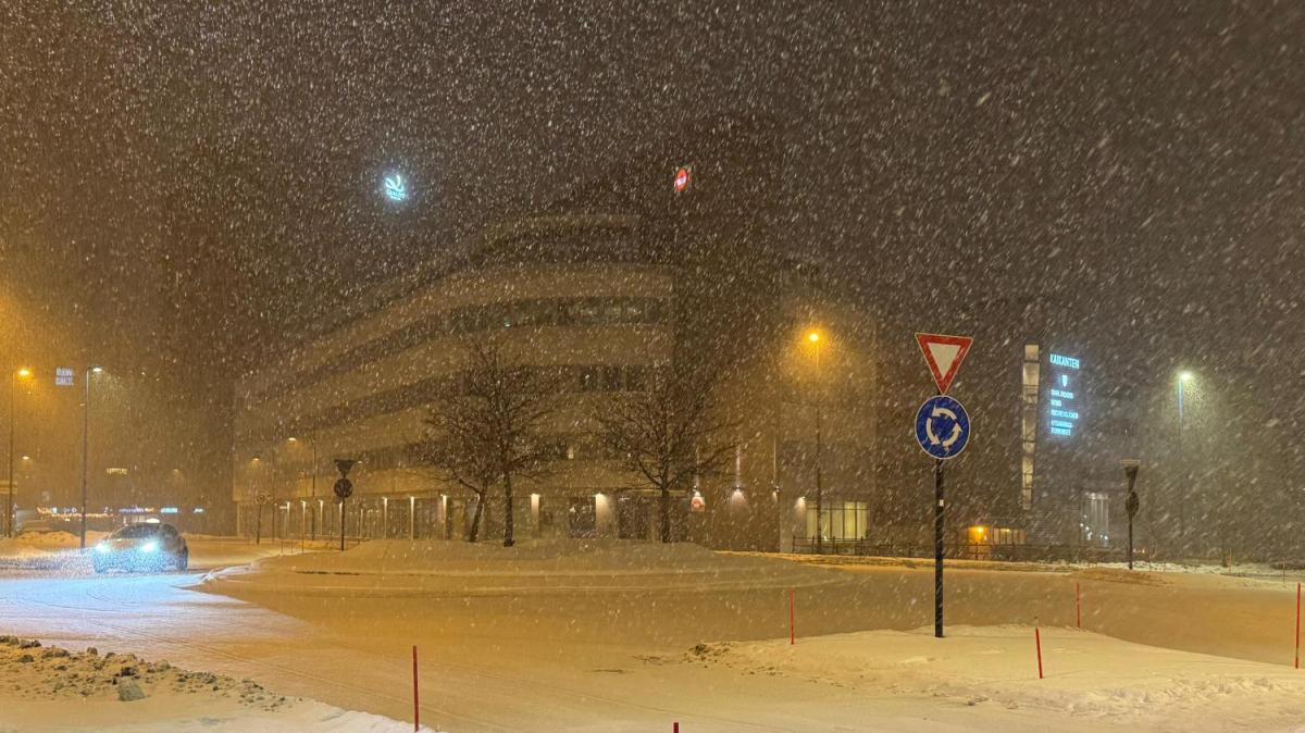 Immagine strip Primo piano n.1