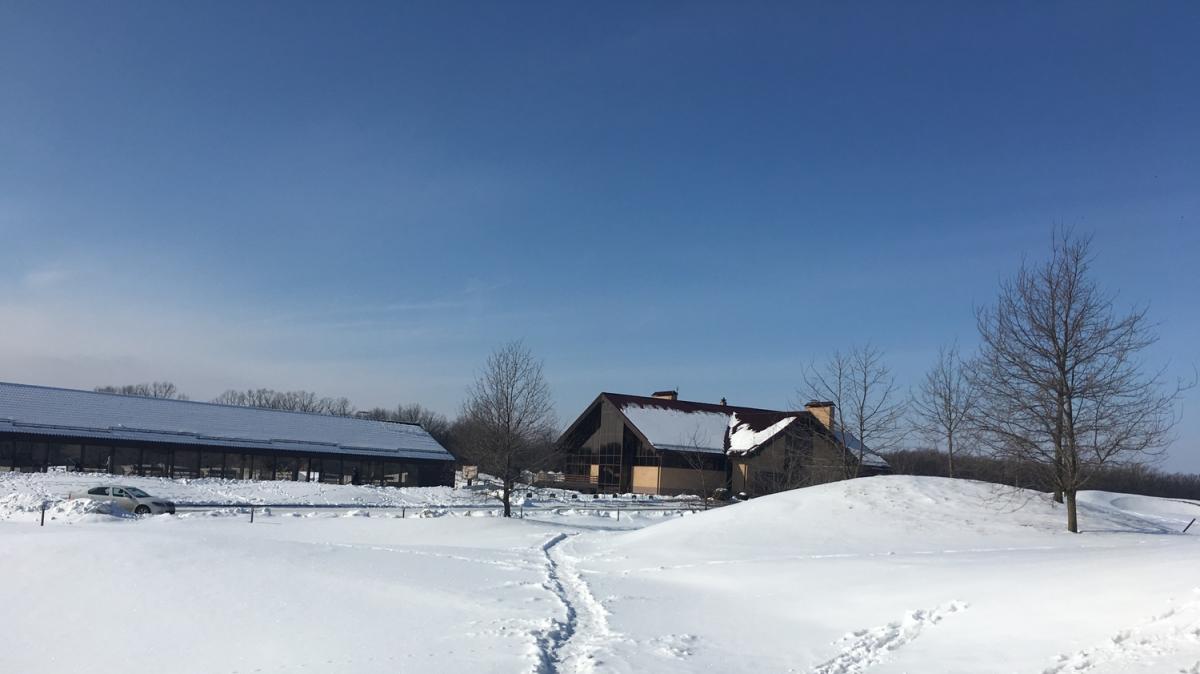 Bodo Glimt-Juventus, previsti neve e vento per questa sera durante la gara