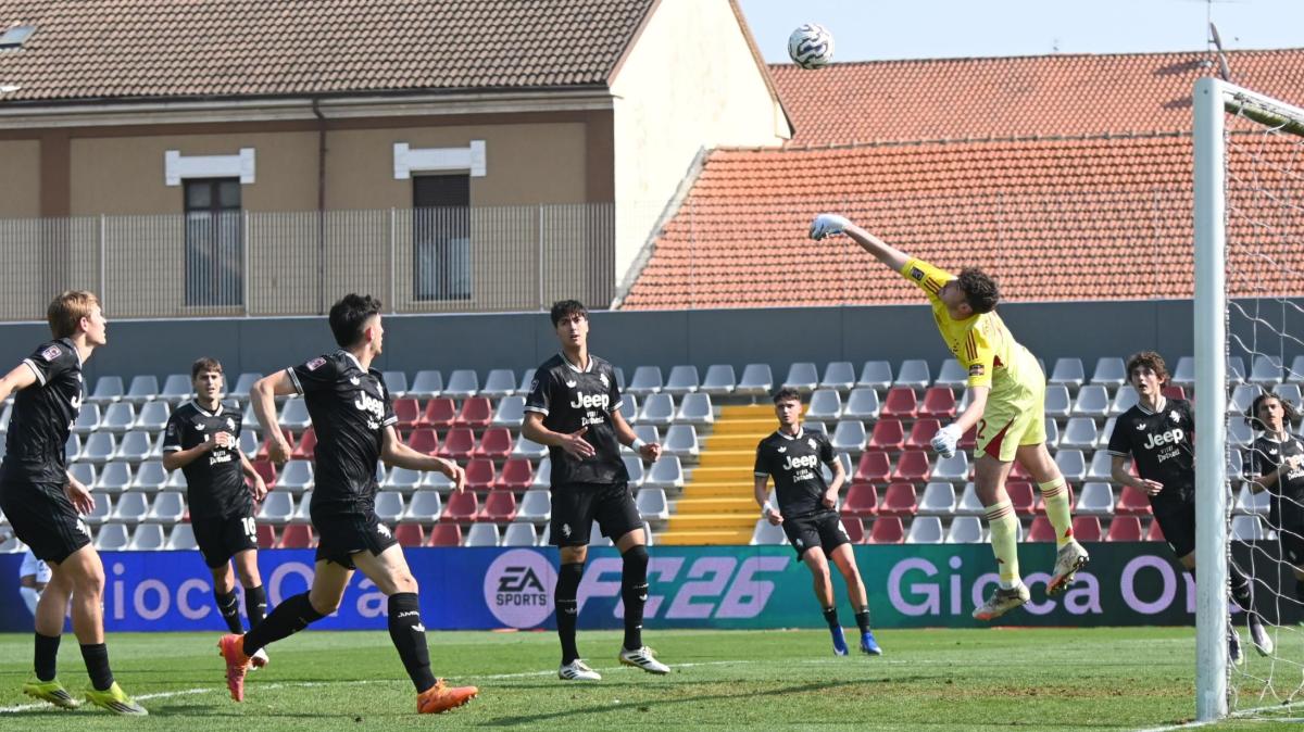 Immagine strip Primo piano n.1