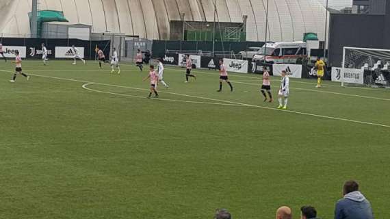 LIVE TJ - Juventus-Palermo Primavera 0-2. Impresa rosanero a Vinovo, prima sconfitta in campionato per i bianconeri