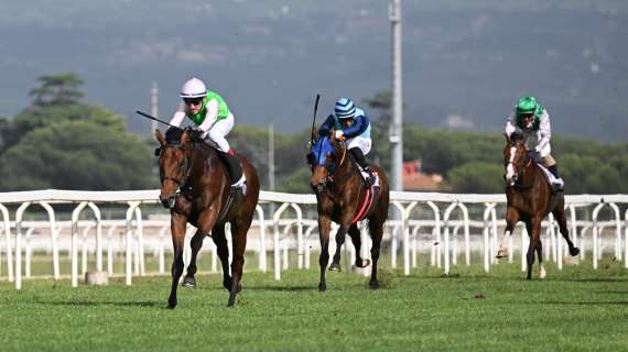 Ippodromo Capannelle, Max Allegri si consola con il successo di Mr Darby nel Premio Sbarigia