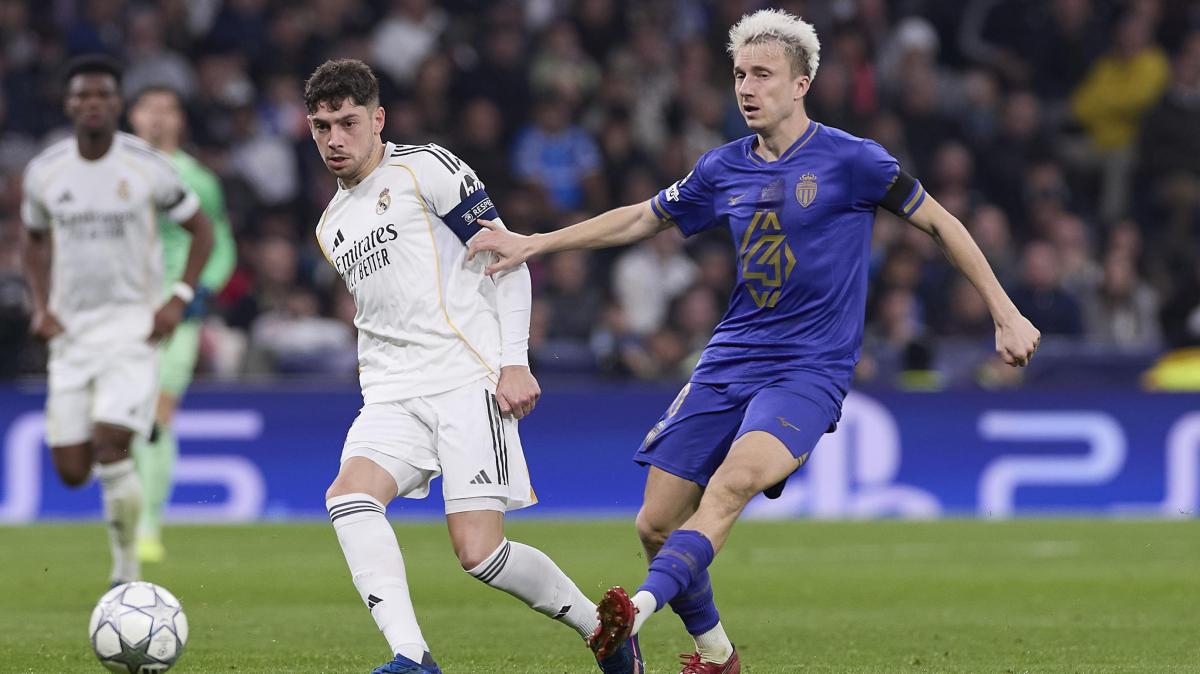 Immagine strip Primo piano n.1