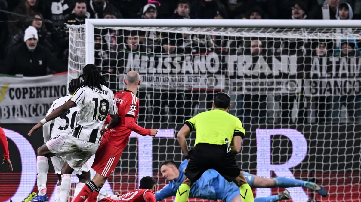 Immagine strip Primo piano n.1