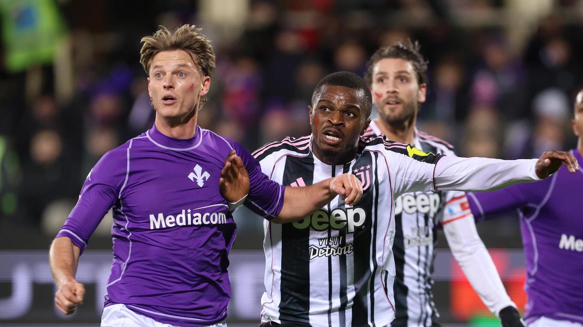 Immagine strip Primo piano n.1