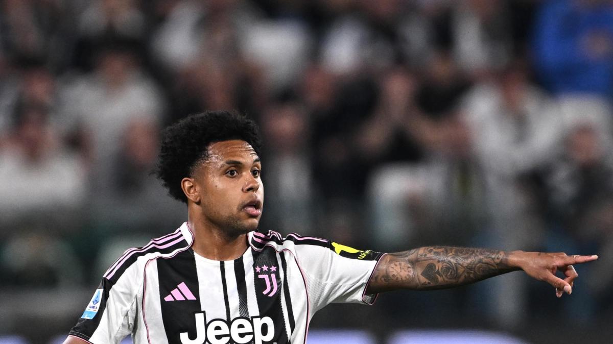 Immagine strip Primo piano n.1