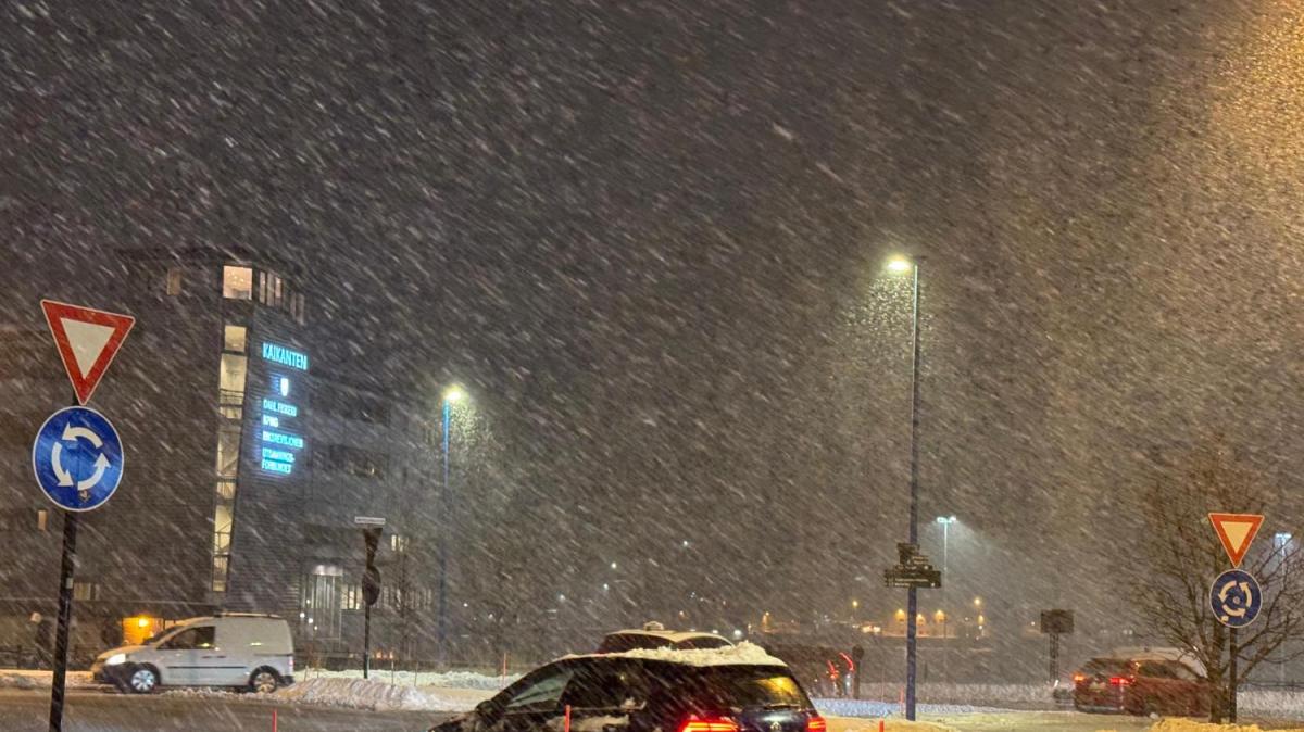 A Bodø nevica abbondantemente. Chiellini e Comolli stanno raggiungendo la Norvegia in macchina (Foto e Video)
