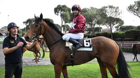 Allegri sconfitto a Napoli, ma si consola con il trionfo della sua cavalla a Capannelle (FOTO)