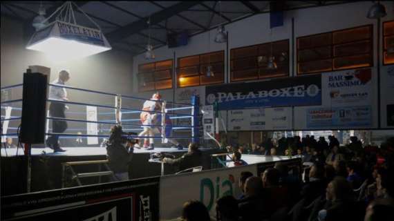 Pugilato - Boxe Latina, sul ring a primavera