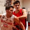 SPECIALE - Stings, si torna in campo: domani sera c'è Oderzo Basket