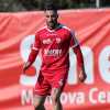 Mantova, in tanti ai saluti: Muroni-Ascoli, Solini-Vicenza