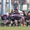 Rugby, stop Mantova: biancorossi ko contro la capolista Bergamo